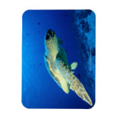 Magnet Flexible Grande barrière de corail, Australie 2 (Vertical)