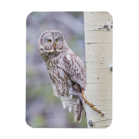 Magnet Flexible Grande branche de tremble gris (Vertical)