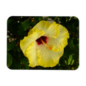 Magnet Flexible Grande Fleur d'Hibiscus Jaune (Horizontal)