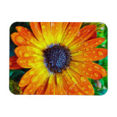 Magnet Flexible Grande Fleur d'or près (Horizontal)