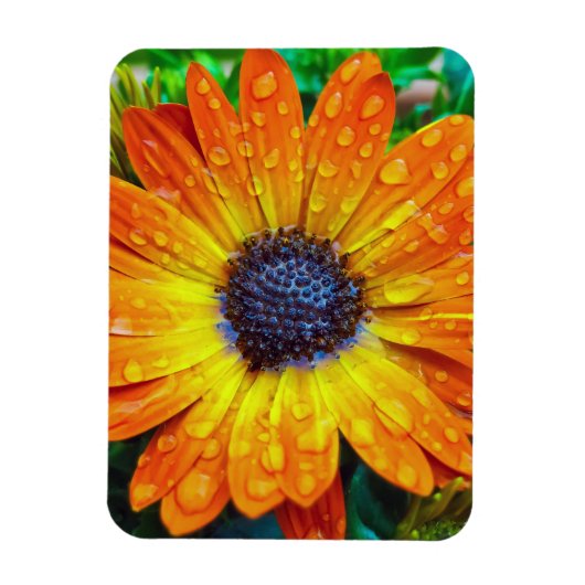 Magnet Flexible Grande Fleur d'or près (Vertical)