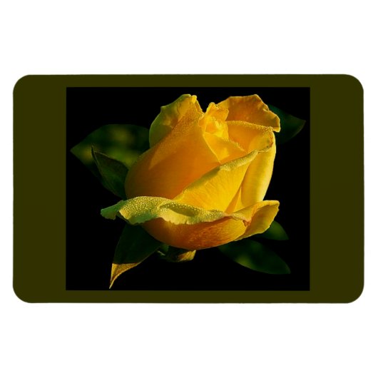 Magnet Flexible Grande rose jaune (Horizontal)