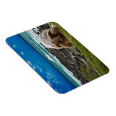 Magnet Flexible Grande tortue au bord de l'eau (Côté Droit)