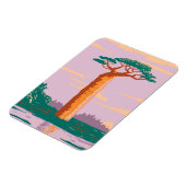 Magnet Flexible Grandiers Baobab (Côté Gauche)