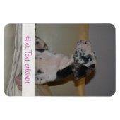 Magnet Flexible Grands Danois (Horizontal)