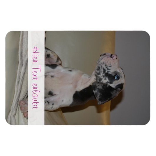 Magnet Flexible Grands Danois (Horizontal)