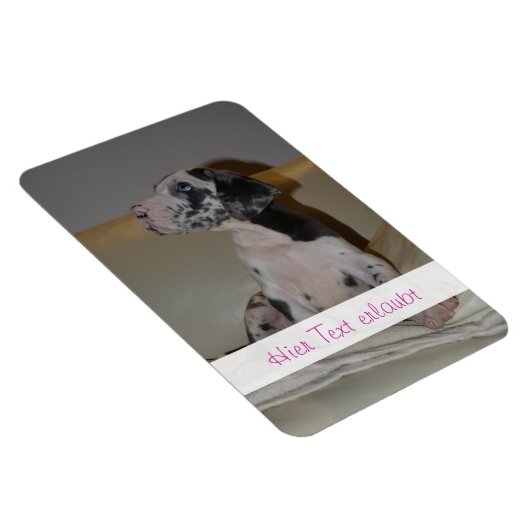 Magnet Flexible Grands Danois (Côté Droit)