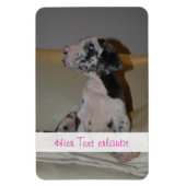 Magnet Flexible Grands Danois (Vertical)