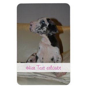 Magnet Flexible Grands Danois