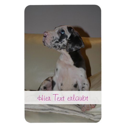 Magnet Flexible Grands Danois (Vertical)