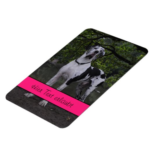 Magnet Flexible Grands Danois (Côté Gauche)