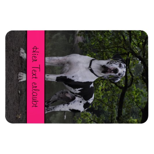 Magnet Flexible Grands Danois (Horizontal)