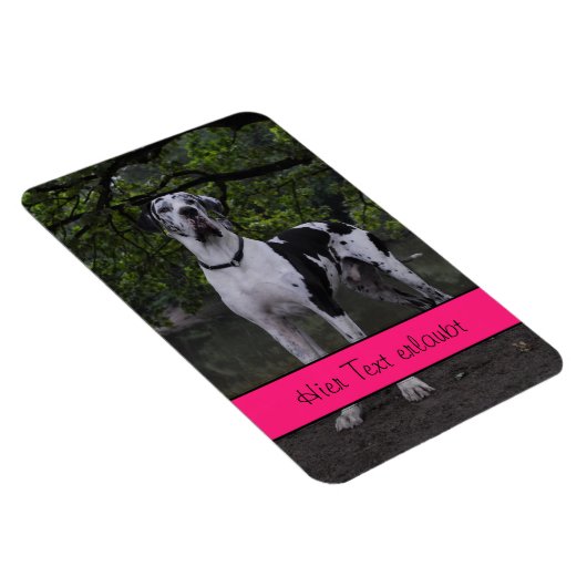 Magnet Flexible Grands Danois (Côté Droit)