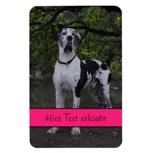 Magnet Flexible Grands Danois (Vertical)