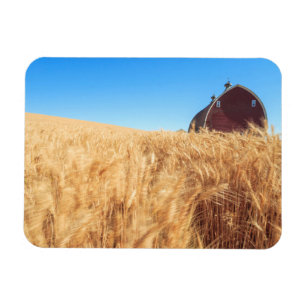 Magnet Flexible Grange, champs de blé d'été près de Sprague, Est 2