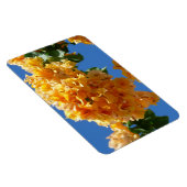 Magnet Flexible Grappe de Fleur Tropicale de Bougainvillée Dorée (Côté Droit)