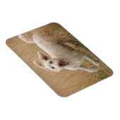 Magnet Flexible Grass de Runs (Côté Droit)