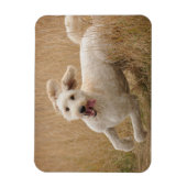 Magnet Flexible Grass de Runs (Vertical)