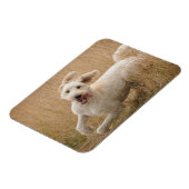 Magnet Flexible Grass de Runs (Côté Gauche)