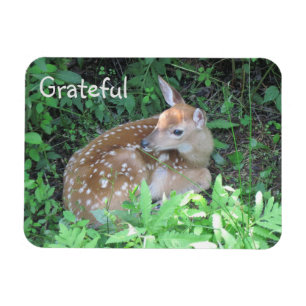 Magnet Flexible Gratitude