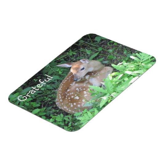 Magnet Flexible Gratitude (Côté Gauche)