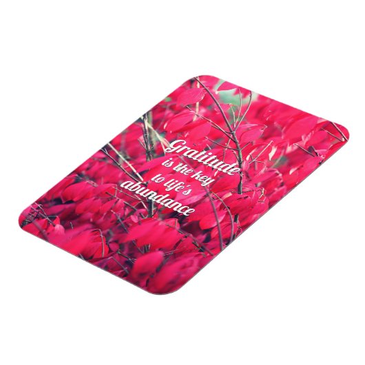 Magnet Flexible Gratitude (Côté Gauche)