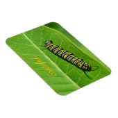 Magnet Flexible Gratitude de l'amour de la nature (Côté Droit)