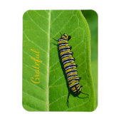 Magnet Flexible Gratitude de l'amour de la nature (Vertical)