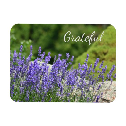 Magnet Flexible Gratitude florale pourpre (Horizontal)