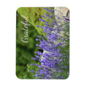 Magnet Flexible Gratitude florale pourpre (Vertical)