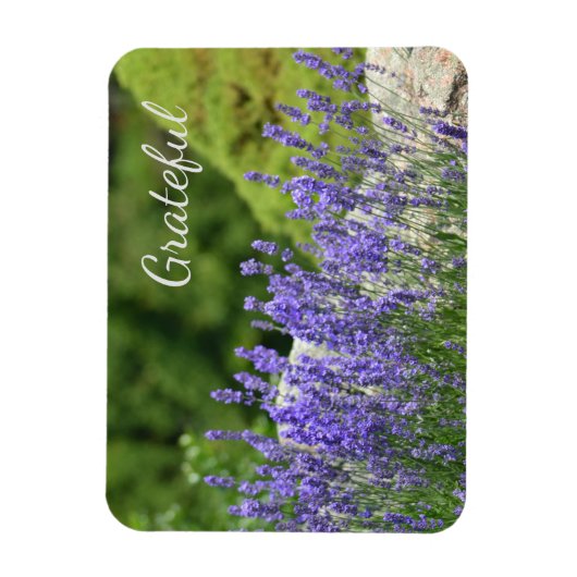 Magnet Flexible Gratitude florale pourpre (Vertical)
