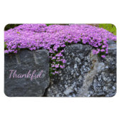 Magnet Flexible Gratitude Rock Garden (Horizontal)