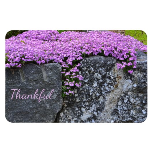 Magnet Flexible Gratitude Rock Garden (Horizontal)