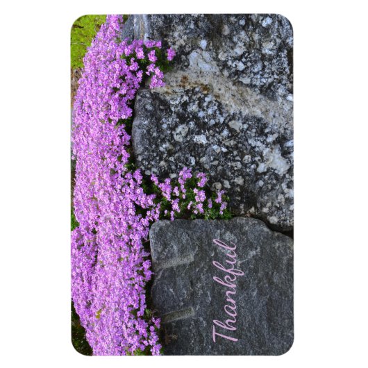 Magnet Flexible Gratitude Rock Garden (Vertical)