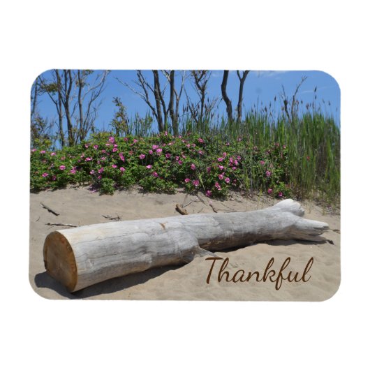 Magnet Flexible Gratitude Seashore (Horizontal)