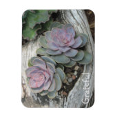 Magnet Flexible Gratitude Succulente (Vertical)