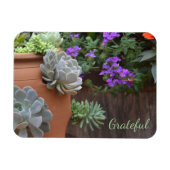 Magnet Flexible Gratitude Succulente (Horizontal)