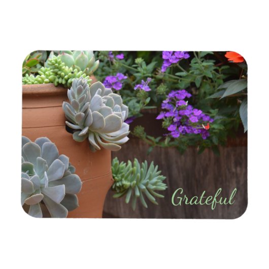 Magnet Flexible Gratitude Succulente (Horizontal)
