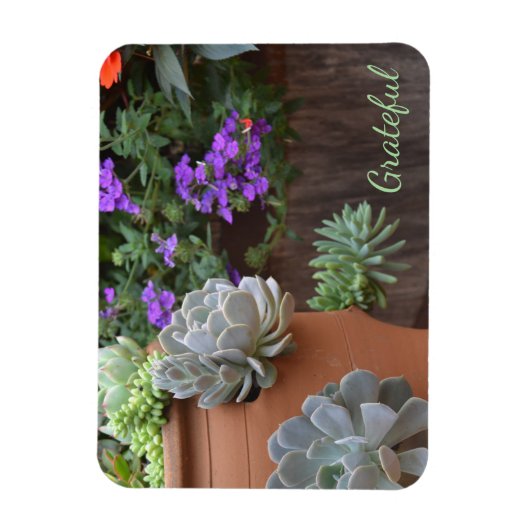Magnet Flexible Gratitude Succulente (Vertical)