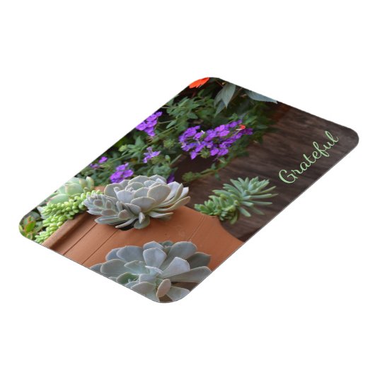 Magnet Flexible Gratitude Succulente (Côté Gauche)