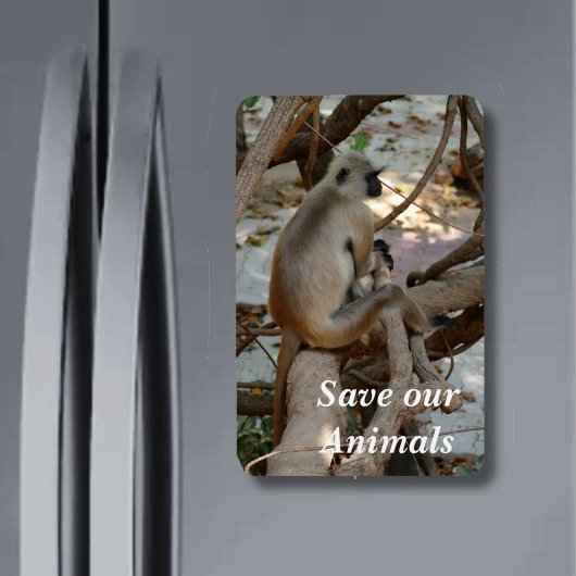 Magnet Flexible Gray Langur - Repose-toi