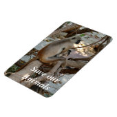 Magnet Flexible Gray Langur - Repose-toi (Côté Gauche)