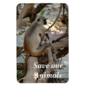 Magnet Flexible Gray Langur - Repose-toi (Vertical)