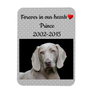 Magnet Flexible Gray Pour Toujours Dans Nos Coeurs Mémorial Des A