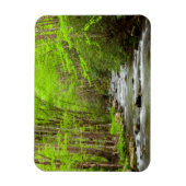 Magnet Flexible Great Smoky Mountains National Park Caroline du No (Vertical)