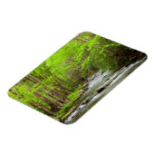 Magnet Flexible Great Smoky Mountains National Park Caroline du No (Côté Gauche)