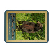 Magnet Flexible Great Smoky Mountains Parc national Ours (Horizontal)
