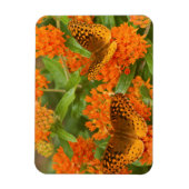 Magnet Flexible Great Spangled Fritillaries on Butterfly Milkweed (Vertical)