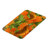 Magnet Flexible Great Spangled Fritillaries on Butterfly Milkweed (Côté Gauche)