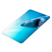 Magnet Flexible Great White Shark | Afrique du Sud (Côté Gauche)